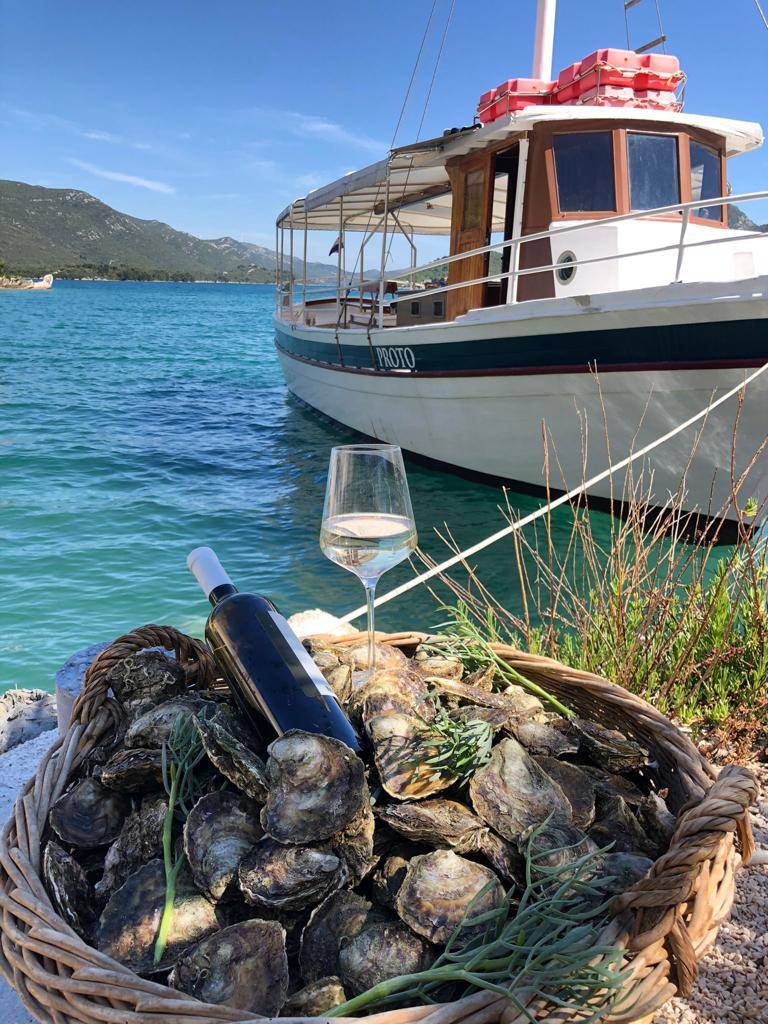Oyster farm experience and wine tasting