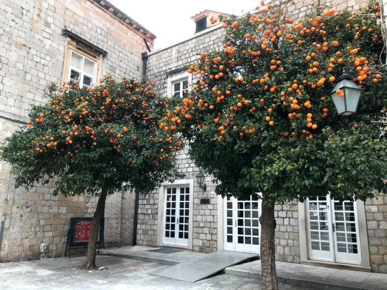 Stradun_Dubrovnik